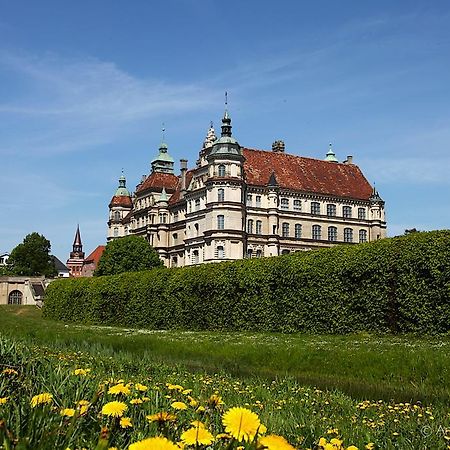 Hotel & Pension Villa Camenz Güstrow Zewnętrze zdjęcie
